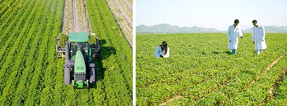 遼寧正業(yè)花生產(chǎn)業(yè)：共抗疫情，龍頭企業(yè)顯擔(dān)當！(圖3)