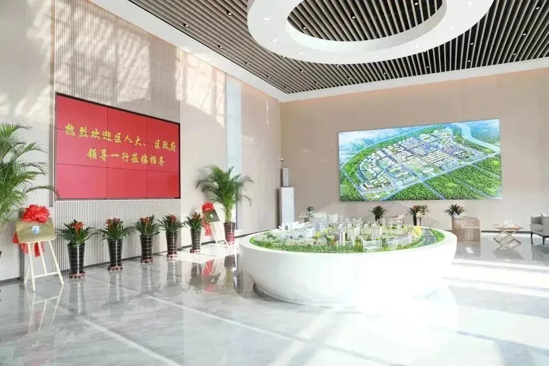 龍港區(qū)人大、區(qū)政府領(lǐng)導(dǎo)一行視察調(diào)研龍港國際醫(yī)療健康產(chǎn)業(yè)園(圖2)